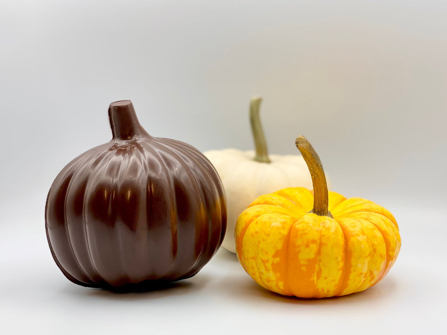 Chocolate Pumpkin